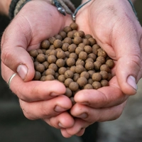 DNA Baits The Bug Shelf Life Boilies
